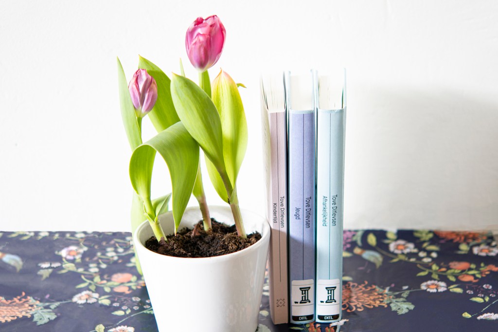 Recensie: De Kopenhagen trilogie van Tove&nbsp;Ditlevsen