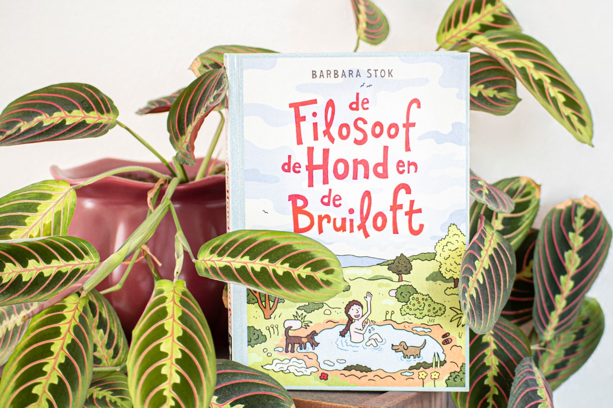 De Filosoof De Hond En De Bruiloft