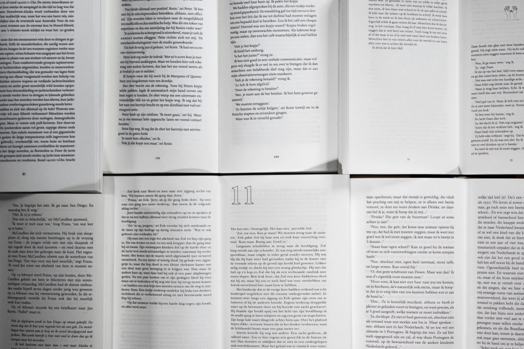 Noem een boek dat&nbsp;…